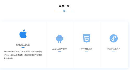 石家莊節(jié)能軟件開(kāi)發(fā)