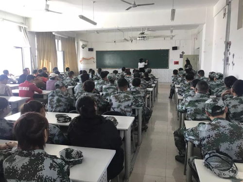 專(zhuān)業(yè)介紹 你所選的,不會(huì)錯(cuò)的