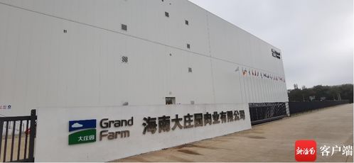 抓項目促投資 全球最大進(jìn)口牛羊肉質(zhì)蛋白精深加工基地投產(chǎn) 洋浦未來有望打造超500億國際食品加工產(chǎn)業(yè)集群