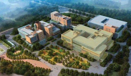 重磅 這個(gè)黃金地段將打造合成生物制造轉(zhuǎn)化加速新標(biāo)桿