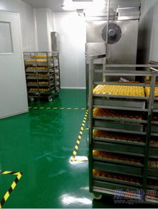 瘦身美容護(hù)膚品專業(yè)設(shè)計(jì)服務(wù) 定制化美麗方案，開啟健康煥膚之旅